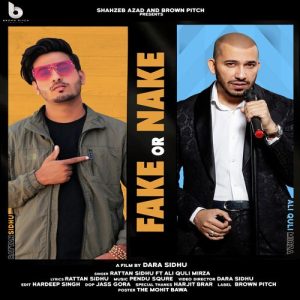 Fake or Nake (2022) Album Art