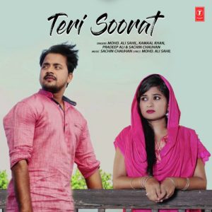 Teri Soorat (2019) Album Art