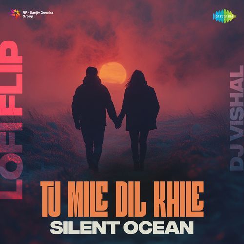 Tu Mile Dil Khile – Lofi Flip (2025)