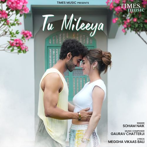 Tu Mileeya (2025)