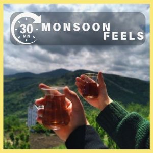 30 Mins : Monsoon Feels (2024) Album Art