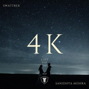 4K LOFI VIP (2022) Album Art