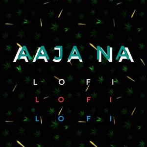 Aaja Na LoFi (Radio Edit) (2021) Album Art