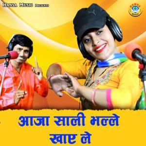 Aaja Sali Bhalle Khaye Le (2024) Album Art