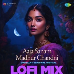 Aaja Sanam Madhur Chandni – Lofi Mix (2025) Album Art