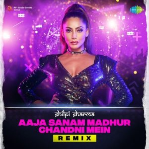 Aaja Sanam Madhur Chandni Mein Remix (2023) Album Art