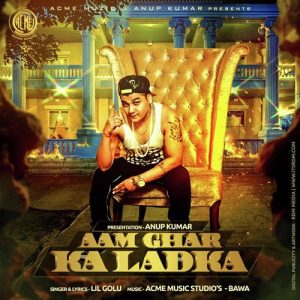 Aam Ghar Ka Ladka (2015) Album Art