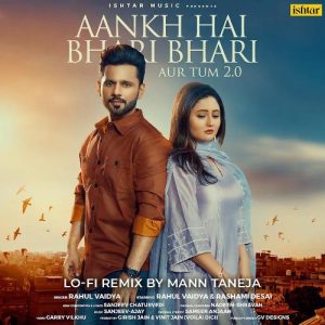 Aankh Hai Bhari Bhari Aur Tum 2.0 (Lo Fi Remix) (2022) Album Art