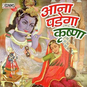 Aanna Pedenga Krishana (2008) Album Art