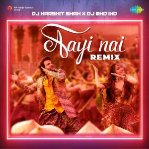 Aayi Nai – Remix (2024) Album Art