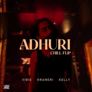 Adhuri (Chill Flip) (2024) Album Art