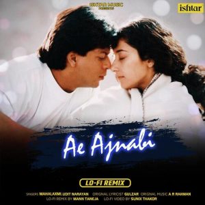Ae Ajnabi (Lo – Fi Remix)