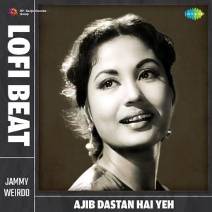 Ajib Dastan Hai Yeh Lofi Beat (2024) Album Art