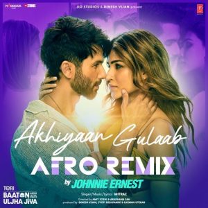 Akhiyaan Gulaab Afro Remix (2025) Album Art