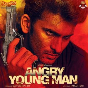 Angry Young Man (2014) Album Art
