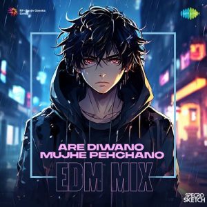 Are Diwano Mujhe Pehchano – EDM Mix