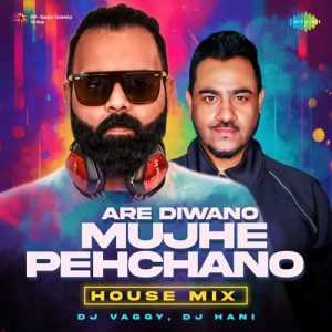 Are Diwano Mujhe Pehchano – House Mix (2024) Album Art