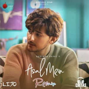 Asal Mein – Remix (2020) Album Art