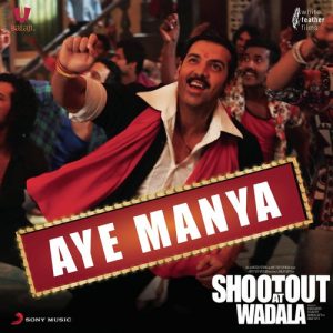 Aye Manya (Remix by Mayur Sahani) (2013) Album Art