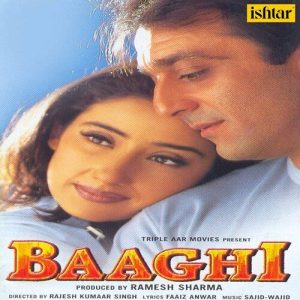Baaghi (New) (2020) Album Art