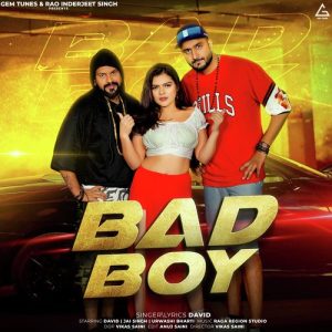 Bad Boy (2023) Album Art