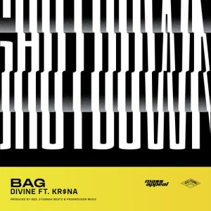 Bag (2020) Album Art