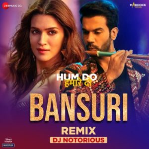 Bansuri Remix By Dj Notorious (2022) Album Art