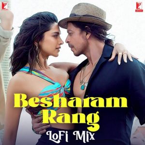 Besharam Rang – LoFi Mix (2024) Album Art
