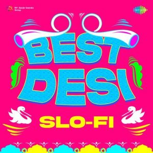 Best Desi Slo-Fi (2023) Album Art