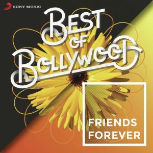 Best of Bollywood: Friends Forever (2016) Album Art
