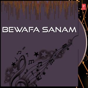 Bewafa Sanam Vol-3 (1993) Album Art