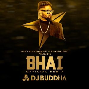 Bhai (Remix) (2021) Album Art