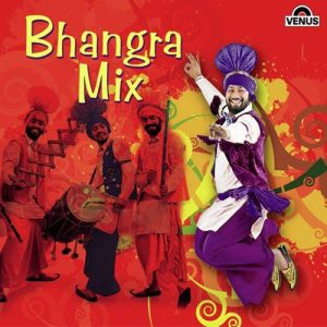 Bhangra Mix (2013) Album Art