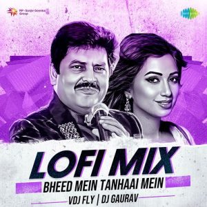 Bheed Mein Tanhaai Mein – Lofi Mix (2024) Album Art