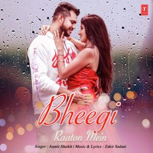 Bheegi Raaton Mein (2020) Album Art