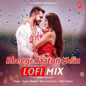 Bheegi Raaton Mein Lofi Mix (2023) Album Art