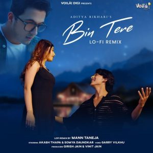Bin Tere (Lo-Fi Remix) (2024) Album Art