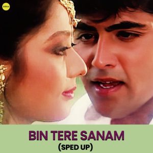 Bin Tere Sanam (Sped Up) (2024) Album Art