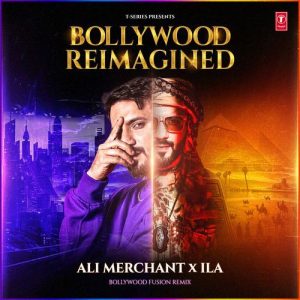 Bollywood Reimagined: Bollywood Fusion Remix (2025) Album Art