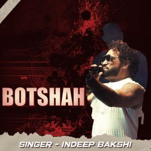 Botshah (2024) Album Art
