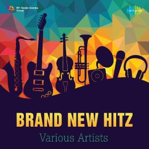 Brand New Hitz (2006) Album Art