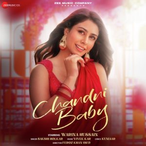 Chandni Baby (2024) Album Art