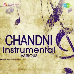 Chandni Instrumental – Flute (2006) Album Art