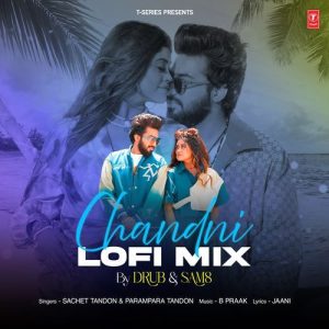Chandni Lofi Mix (2025) Album Art