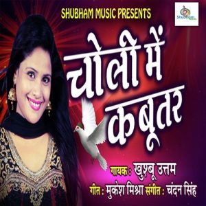 Choli Me Kabutar