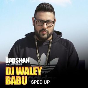 DJ Waley Babu (Sped Up) (2024) Album Art