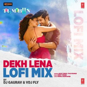 Dekh Lena Lofi Mix (2025) Album Art