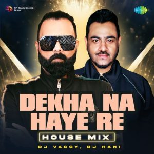 Dekha Na Haye Re – House Mix (2024) Album Art