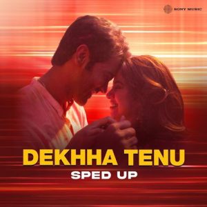 Dekhha Tenu (Sped Up) (2024) Album Art