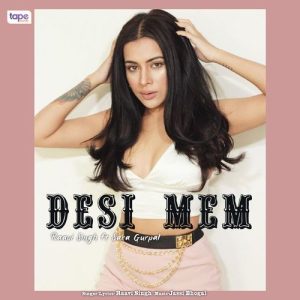 Desi Mem (2023) Album Art